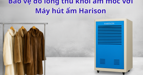 Bảo vệ đồ lông thú khỏi ẩm mốc với máy hút ẩm Harison từ Probuy
