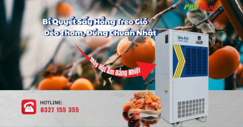Bí Quyết Sấy Hồng Treo Gió Dẻo Thơm, Đúng Chuẩn Nhật – Máy Hút Ẩm Đẳng Nhiệt