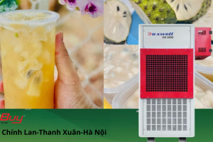 Sấy Mãng Cầu Đúng Chuẩn – Giữ Trọn Vị Với Máy Sấy Heat - Pump Daxwell DX-300D