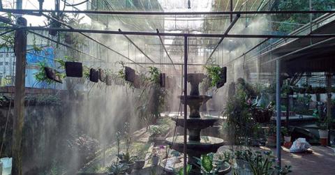 Vì sao cần sử dụng máy phun sương tạo ẩm cho giàn trồng hoa lan vào mùa hè?