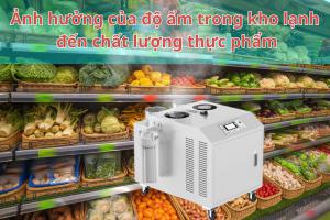 Ảnh hưởng của độ ẩm trong kho lạnh đến chất lượng thực phẩm